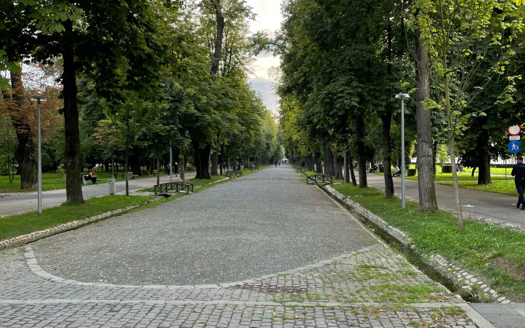 Cómo elegir el tipo de adoquín según tu proyecto